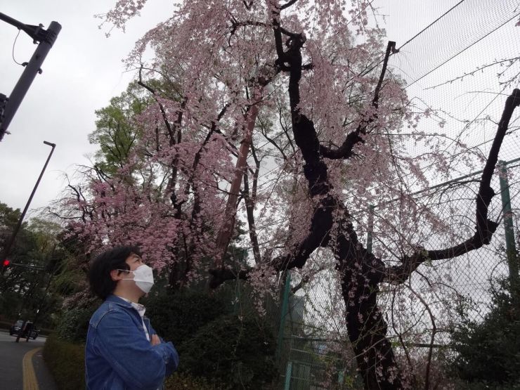 画像：和田0327A