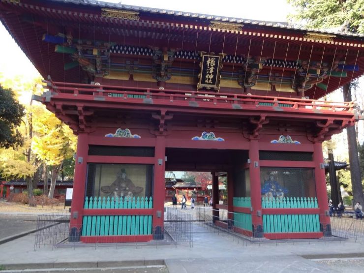 画像：和田1212A